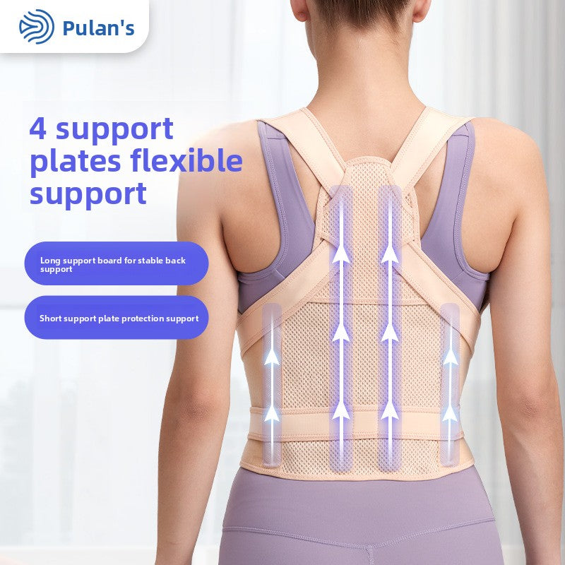 360 back Support Brace