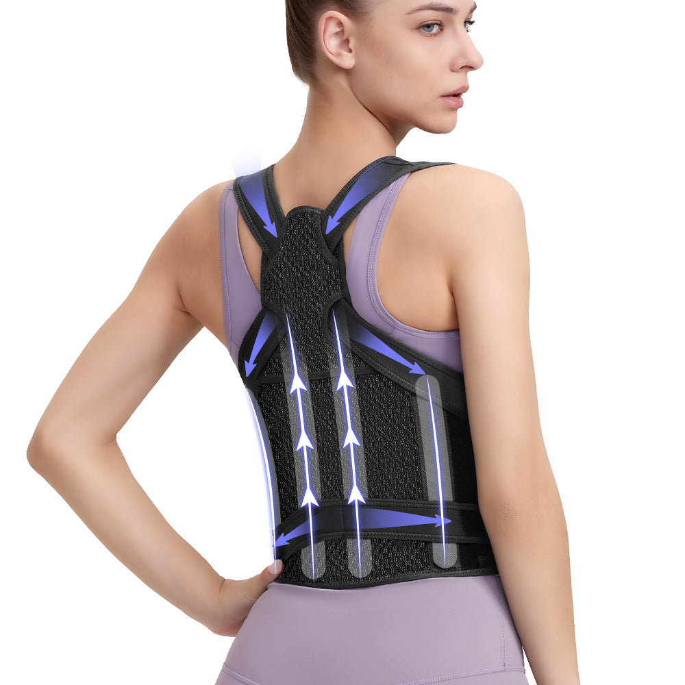360 back Support Brace